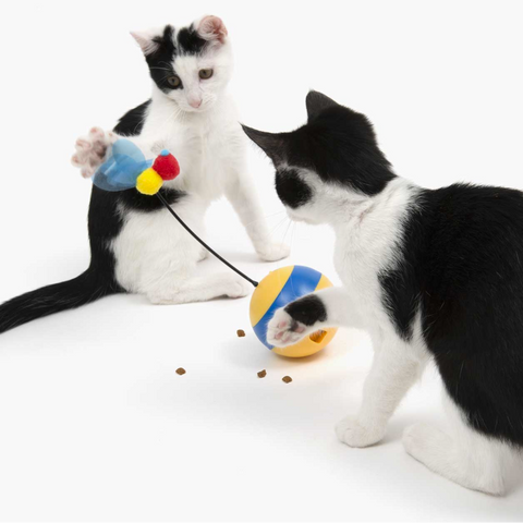  Play Spinning Bee - Pet Premium Food