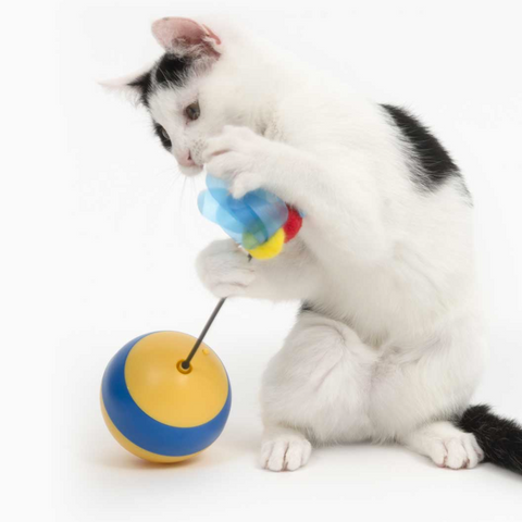  Play Spinning Bee - Pet Premium Food
