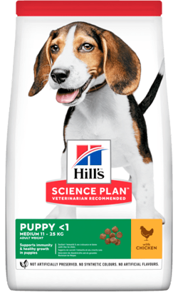 Hills Science Plan Medium Puppy con Pollo | 14 kg