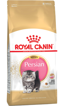 Royal Canin Kitten Persa | 4 kg