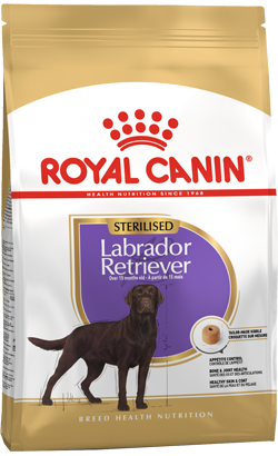 Royal Canin Labrador Retriever Adulto | 12 kg