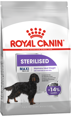 Royal Can Maxi Sterilised | 9 Kg